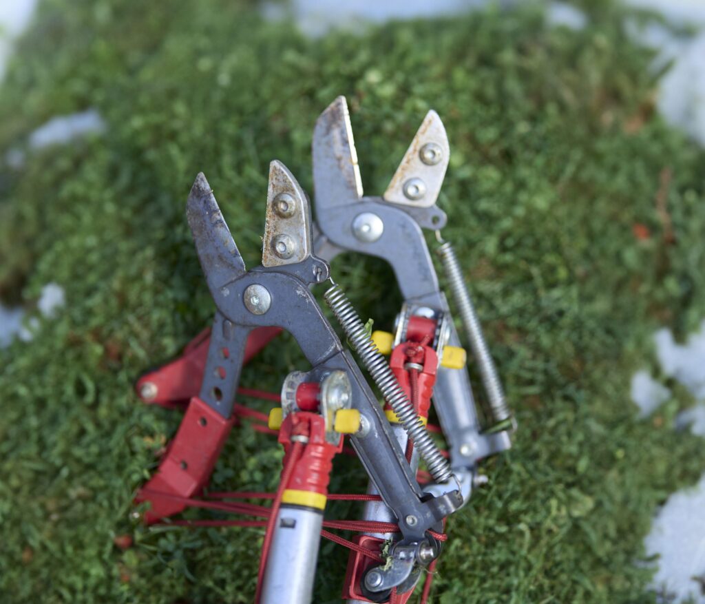 Zwei Eispickel mit roten Griffen liegen auf moosbedecktem Boden, umgeben von Schnee.
