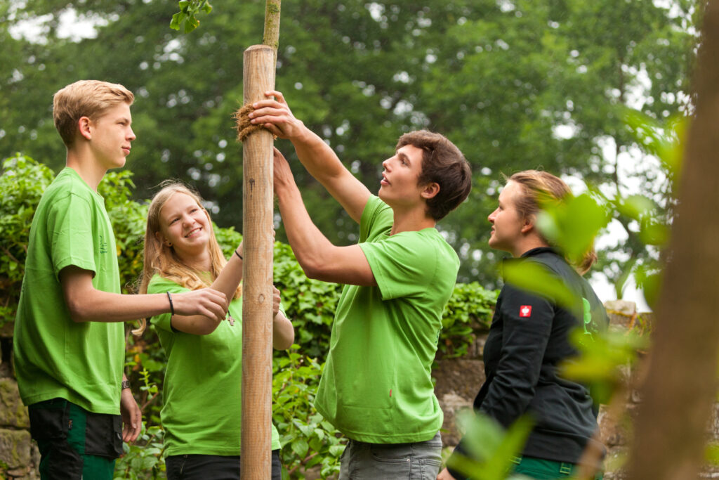 Vier Personen in grüner Kleidung pflanzen gemeinsam einen Baum in einer natürlichen Umgebung.