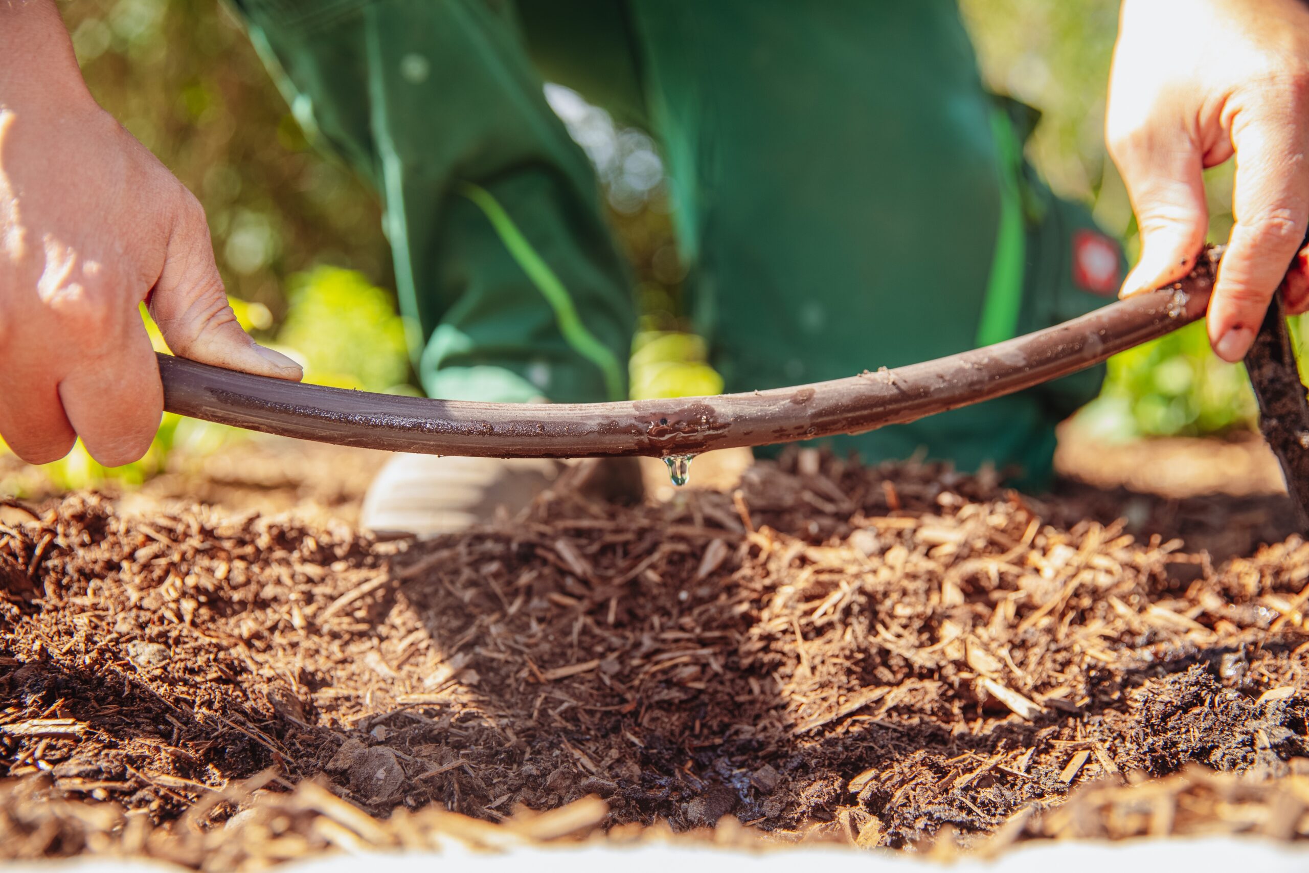 Hände inspizieren einen undichten Bewässerungsschlauch über mit Mulch bedecktem Boden im Garten.