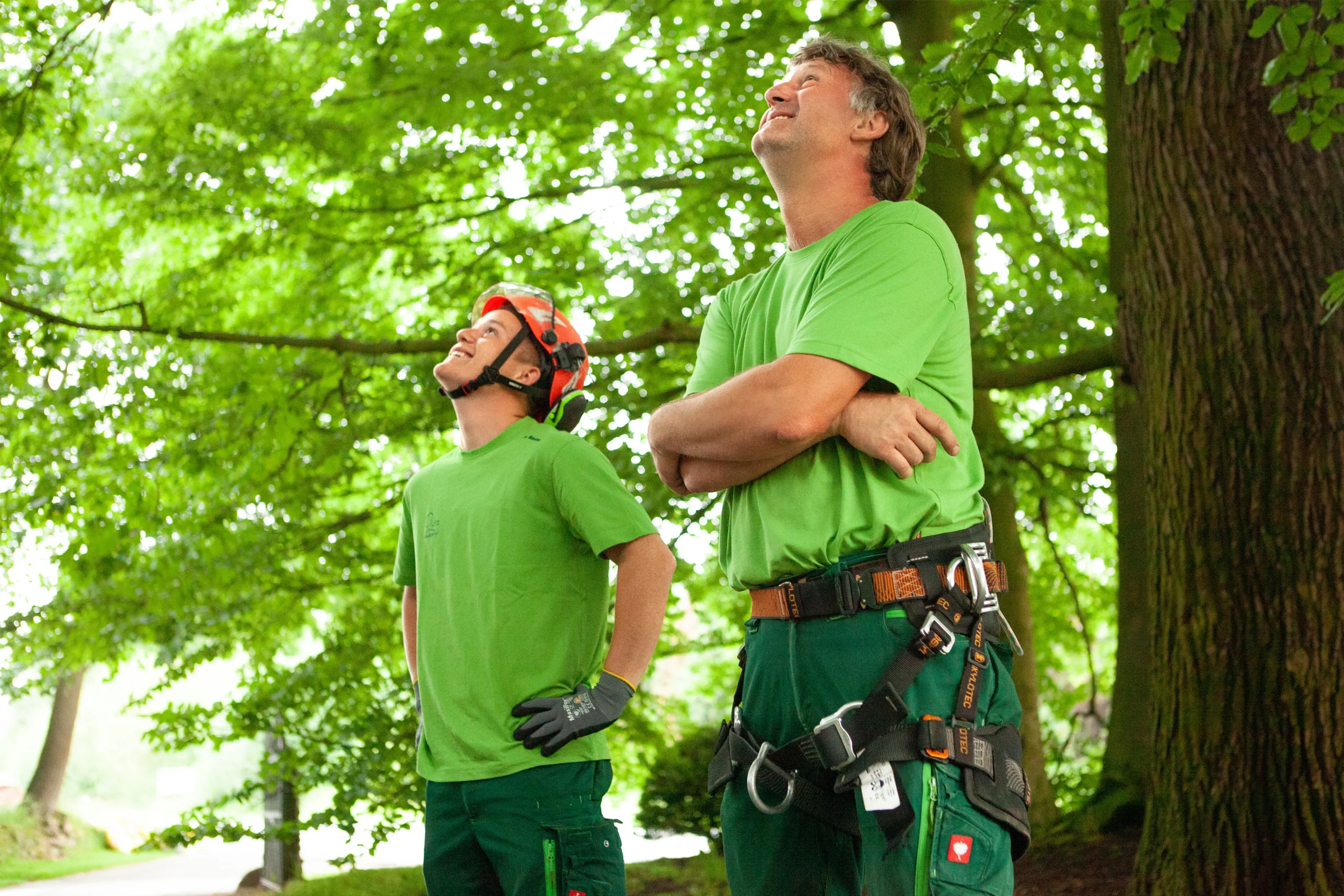 Zwei Personen im Wald, in grüner Arbeitskleidung, blicken nach oben; eine trägt einen orangefarbenen Helm.