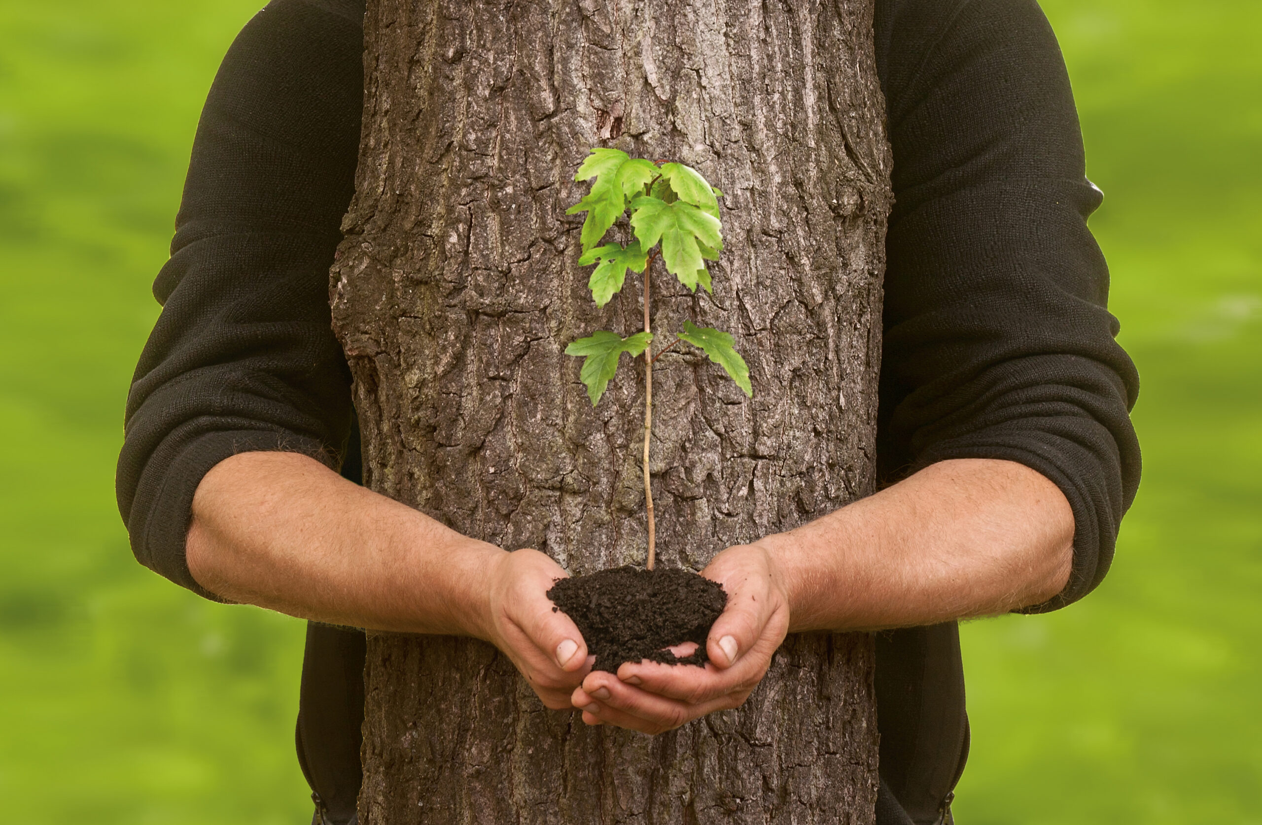 Person umarmt Baumstamm und hält kleine Pflanze, symbolisiert Naturverbundenheit und Umweltschutz.