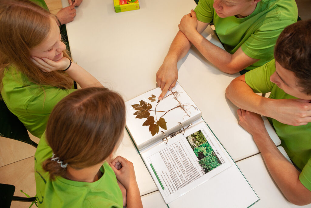 Vier Personen in grünen T-Shirts studieren gemeinsam ein botanisches Buch mit getrockneten Pflanzen.