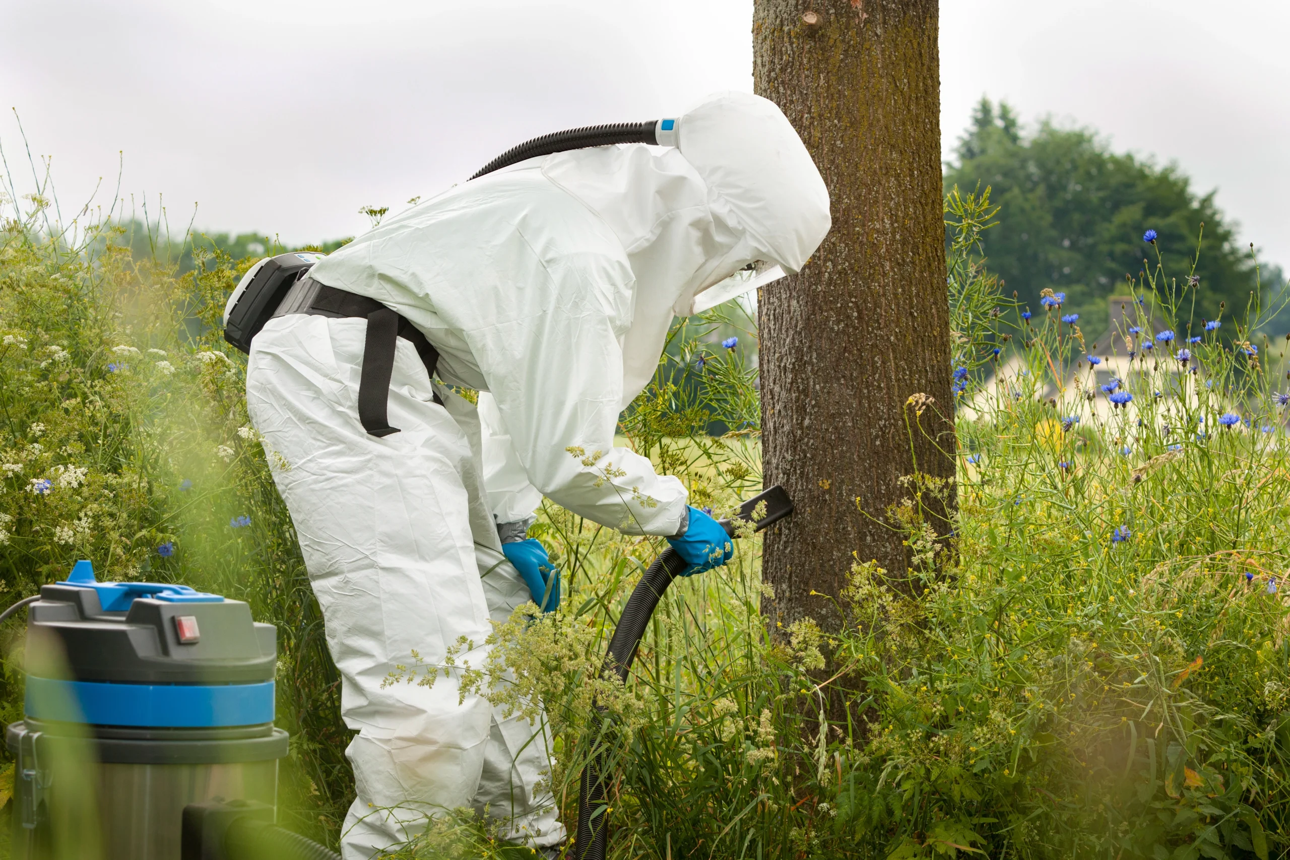 Person in Schutzanzug saugt Baumstamm ab; möglicherweise Schädlingsbekämpfung oder Untersuchung.