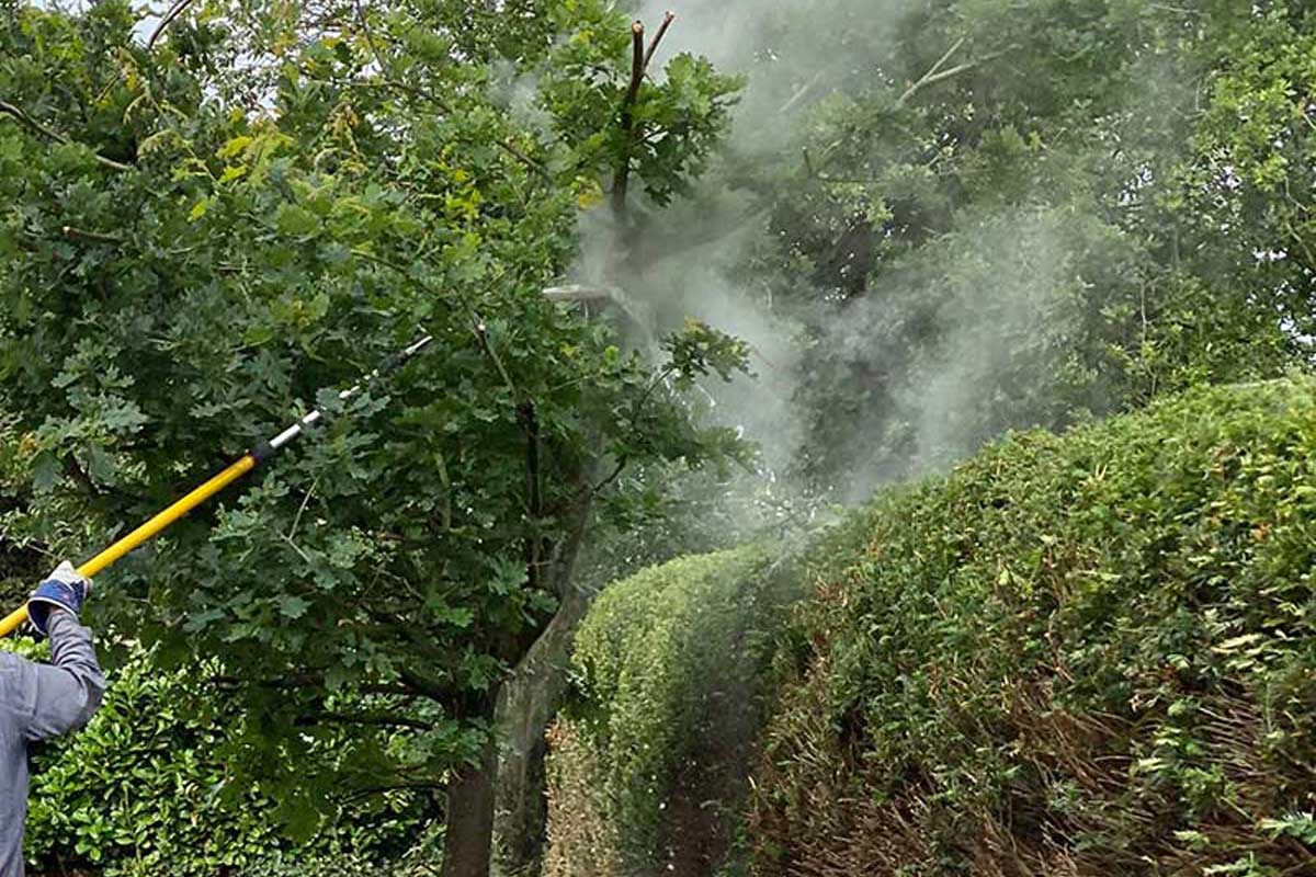 Eine Person schneidet mit einem gelben Stab Äste eines grünen Baumes, Staub schwebt in der Luft.