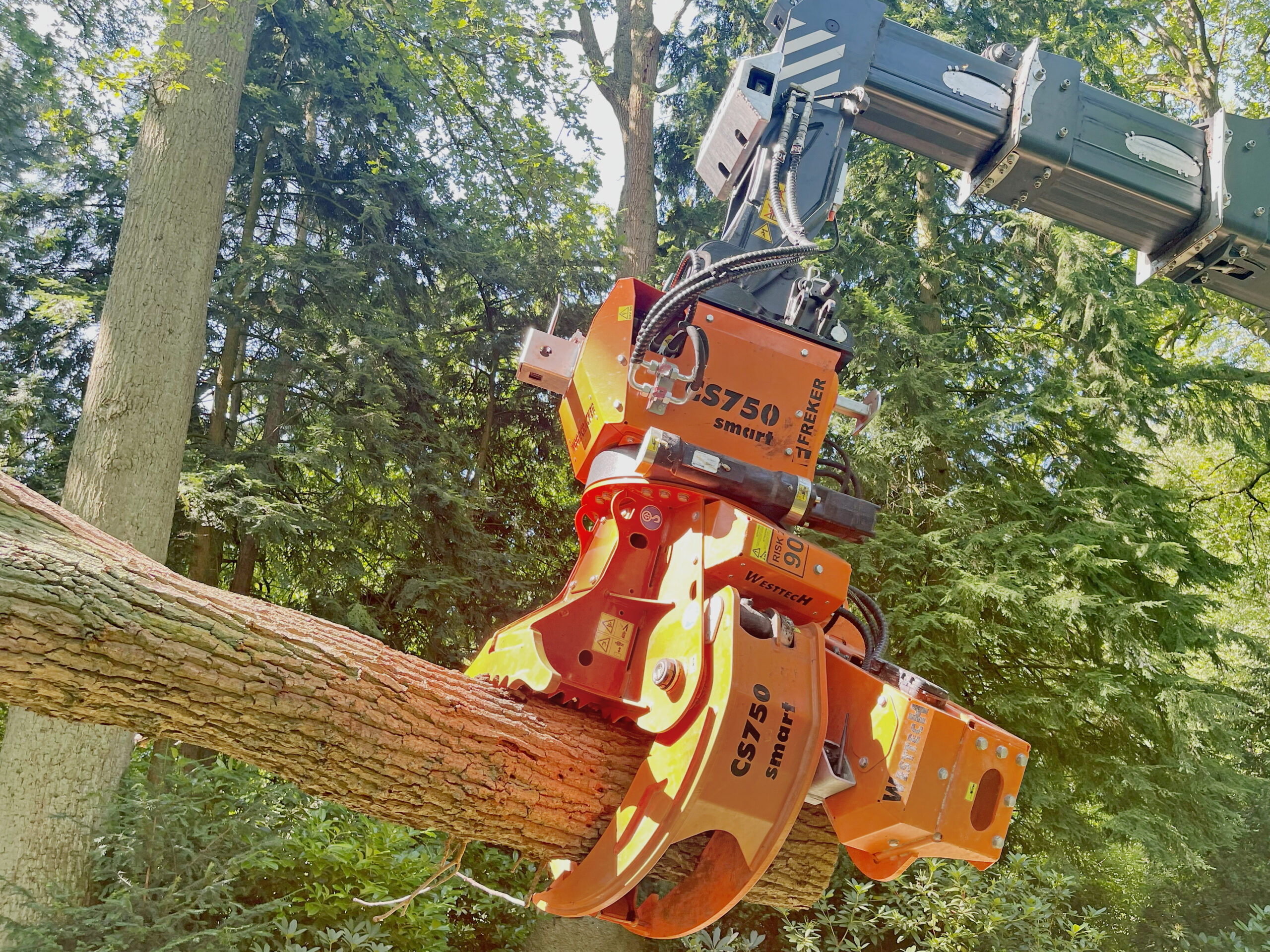 Eine orange Forstmaschine mit Greifer hält einen Baumstamm in einem dichten, grünen Wald.