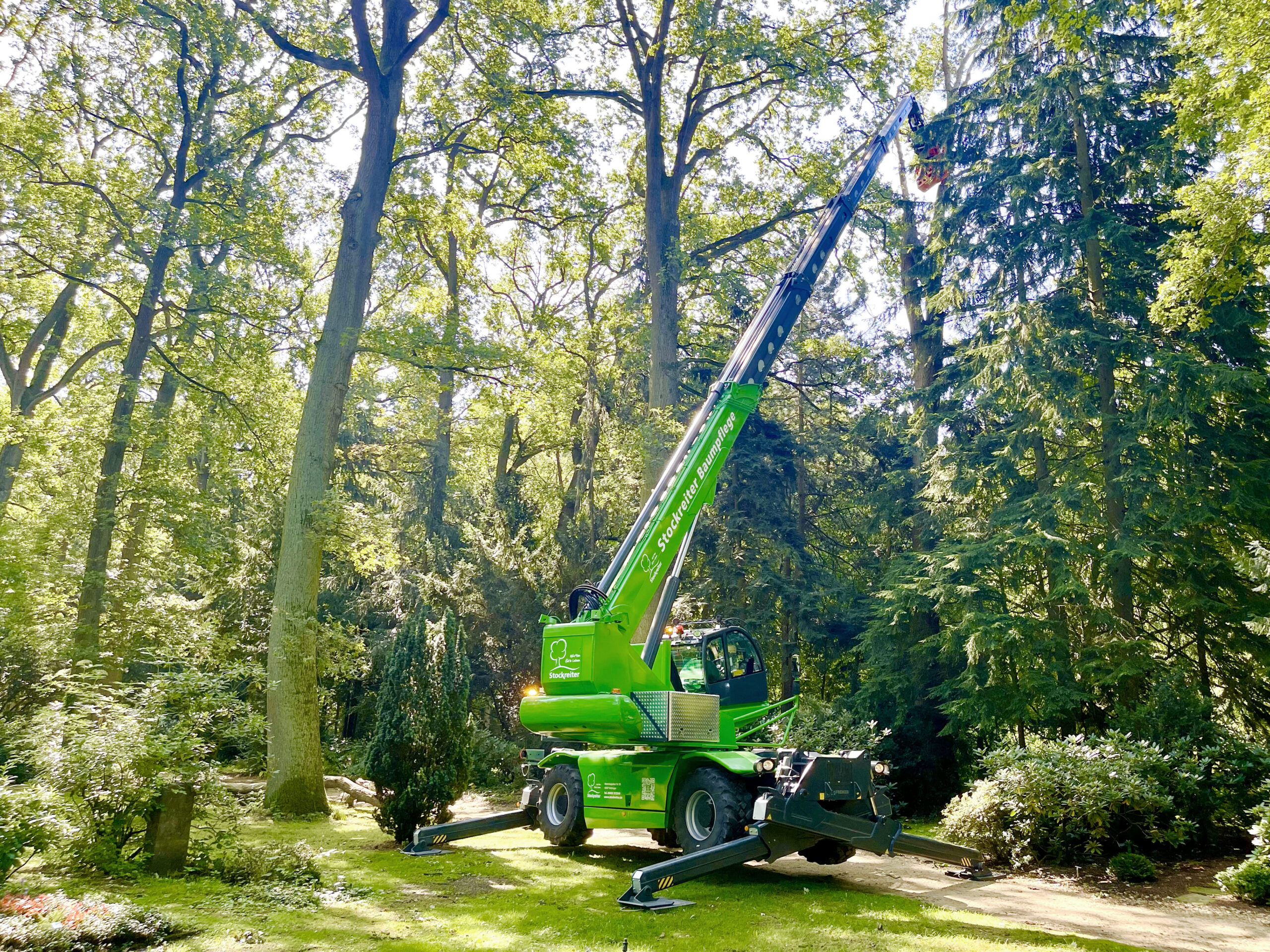 Ein grüner Kran arbeitet in einem Wald, umgeben von Bäumen und dichtem Laubwerk, bei sonnigem Wetter.