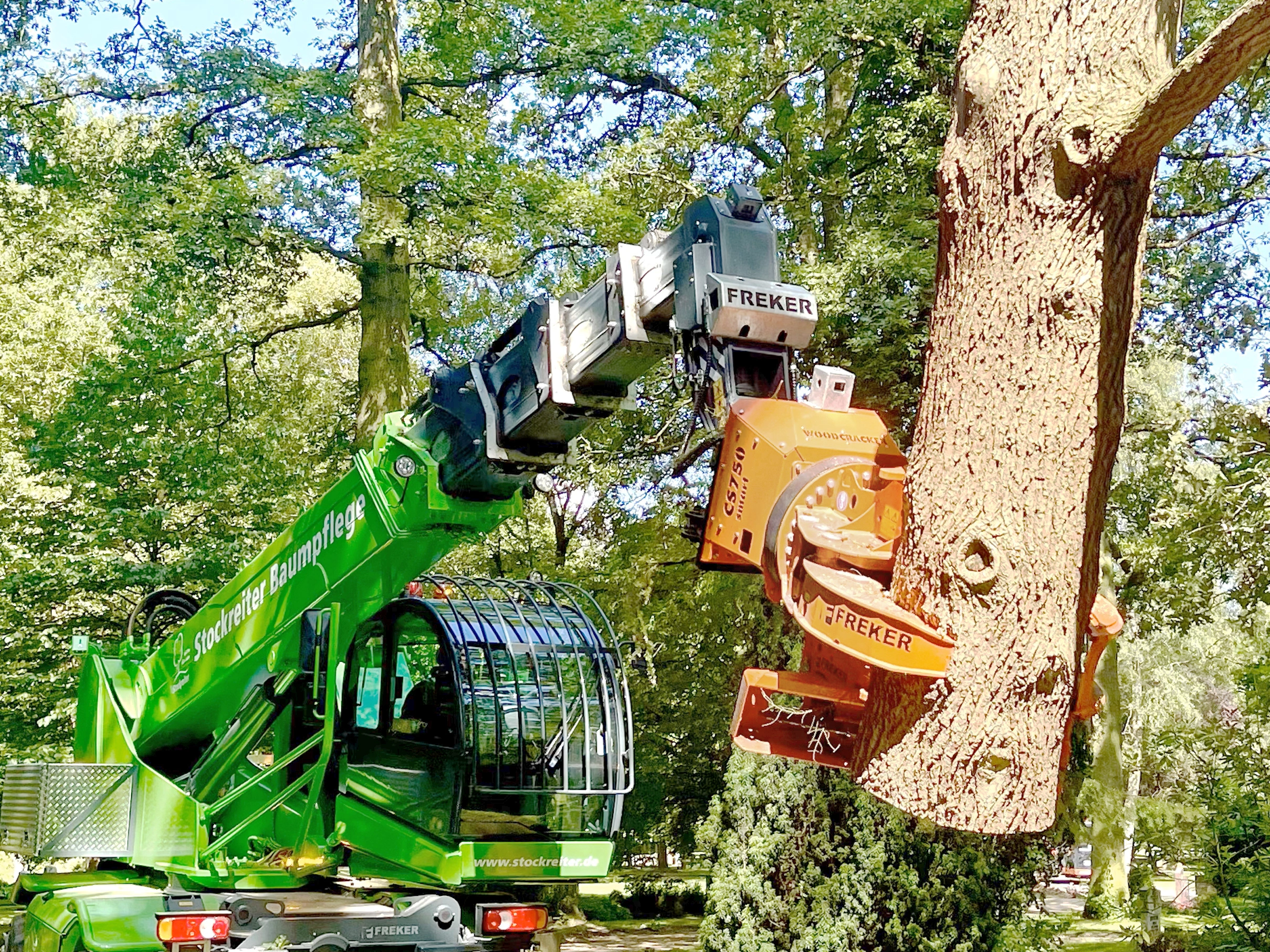 Ein grünes Baumpflegefahrzeug bearbeitet mit einem mechanischen Arm einen Baum in einer grünen Umgebung.