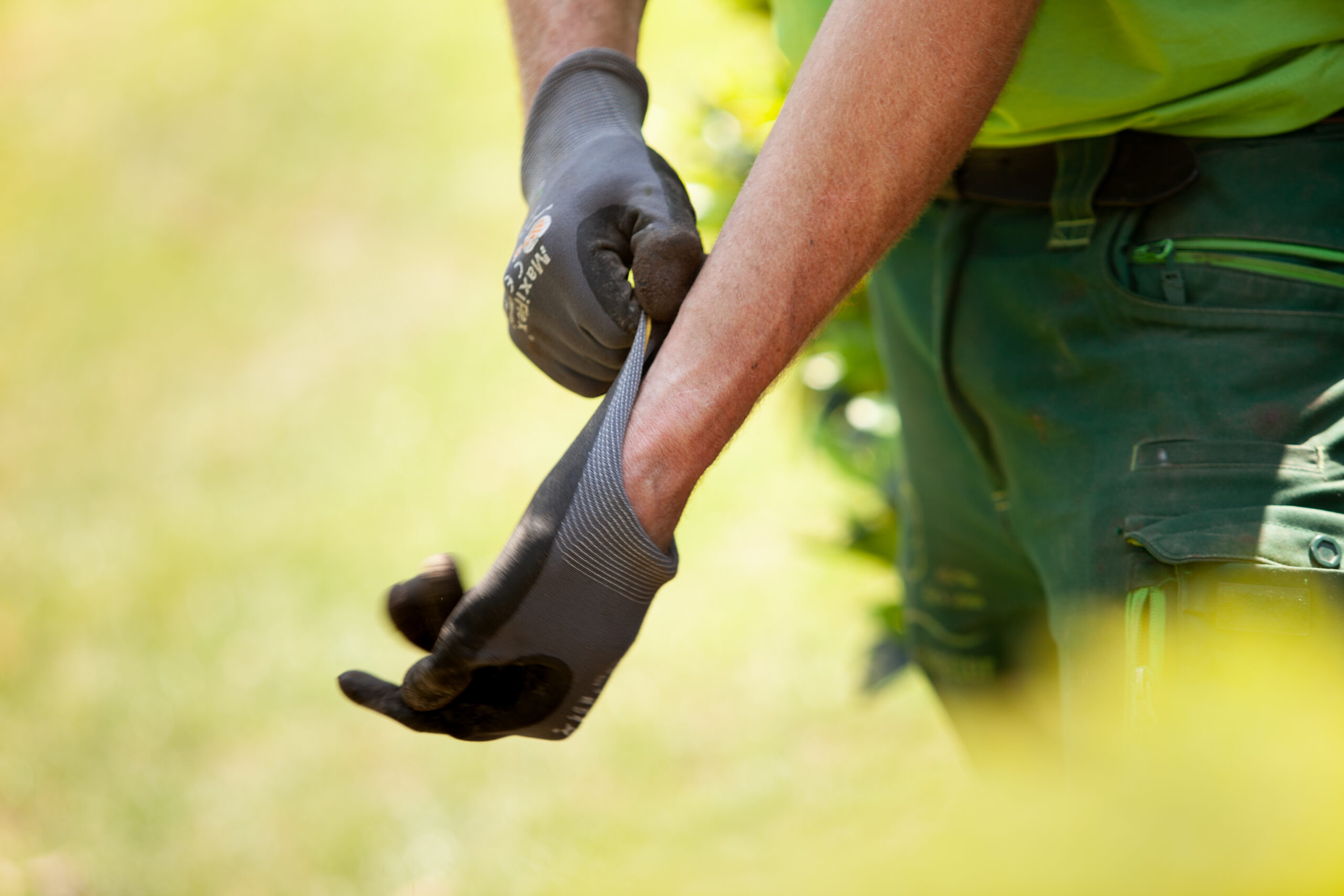 Eine Person zieht dunkelgraue Arbeitshandschuhe an, bereit für Garten- oder Landschaftsarbeiten.