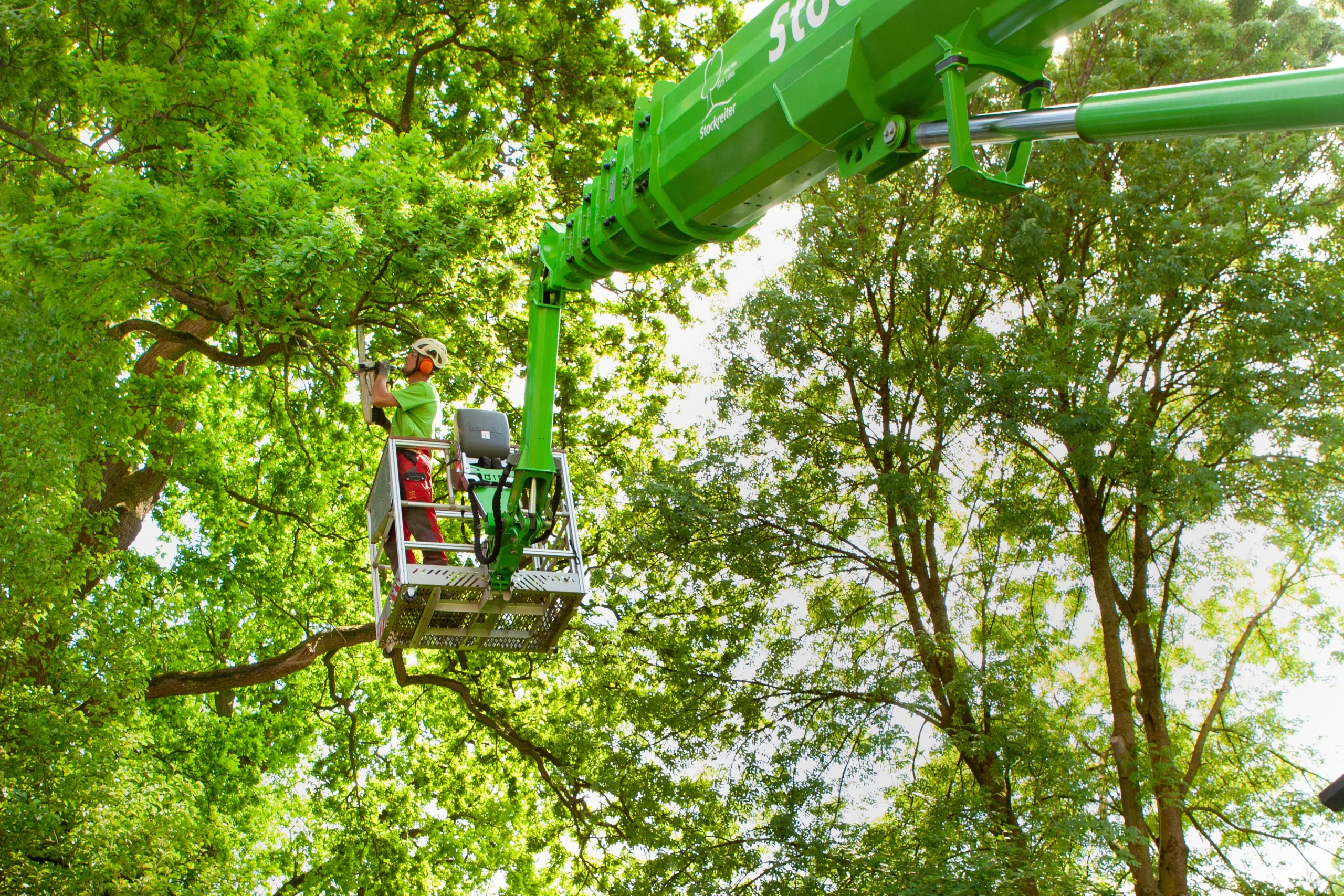 Eine Person in Schutzkleidung arbeitet in einer Arbeitsbühne an einem Baum in einem grünen Waldgebiet.