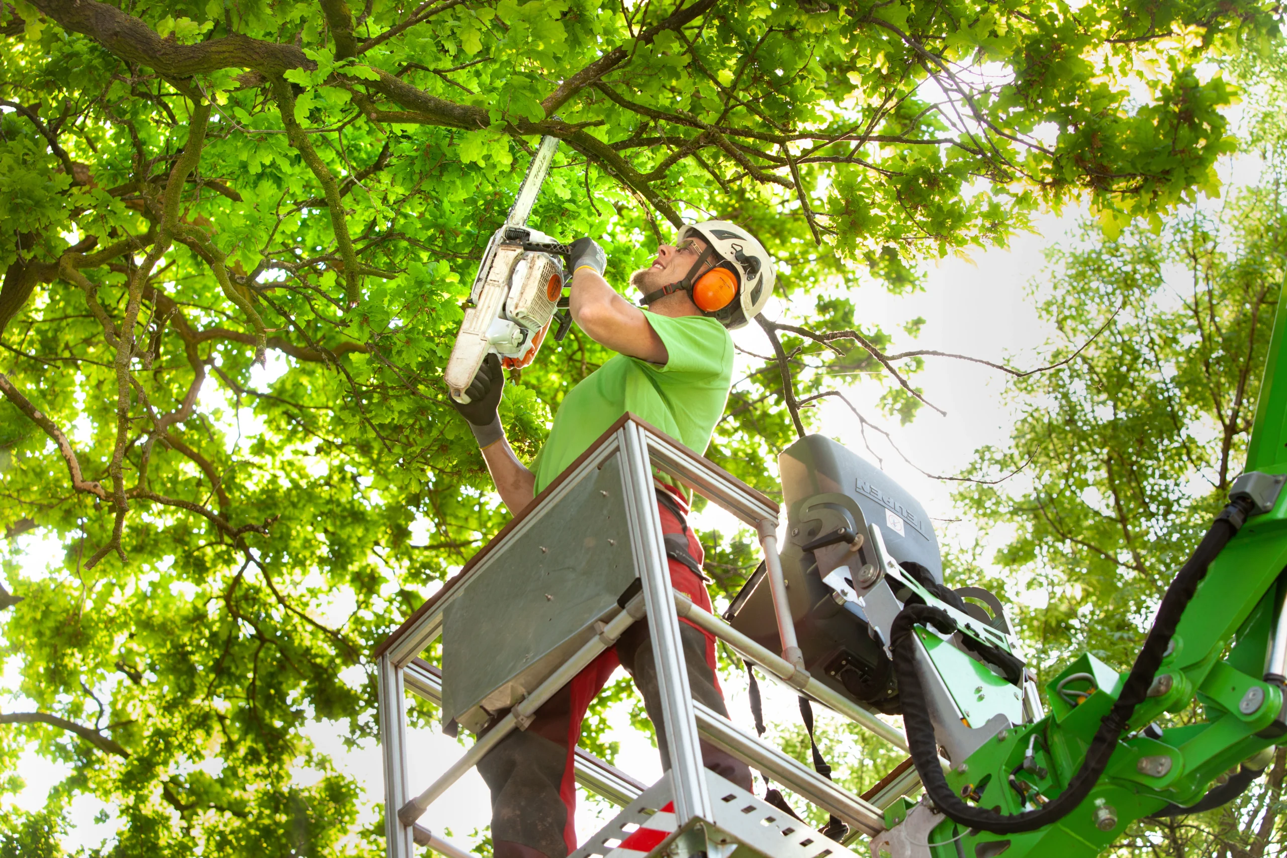 Eine Person in Schutzkleidung schneidet mit einer Motorsäge Äste von einem Baum aus einem Hebekorb.