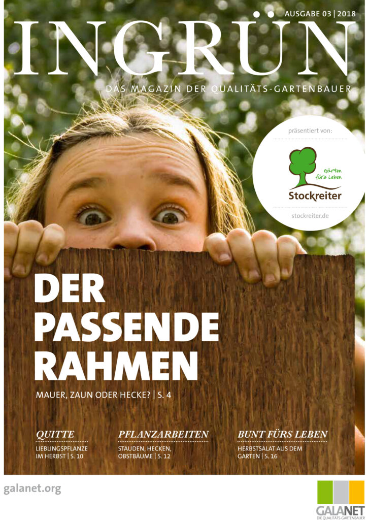 Eine Person schaut neugierig über einen Holzzaun, umgeben von unscharfem Grün, auf dem Cover von "INGRÜN".
