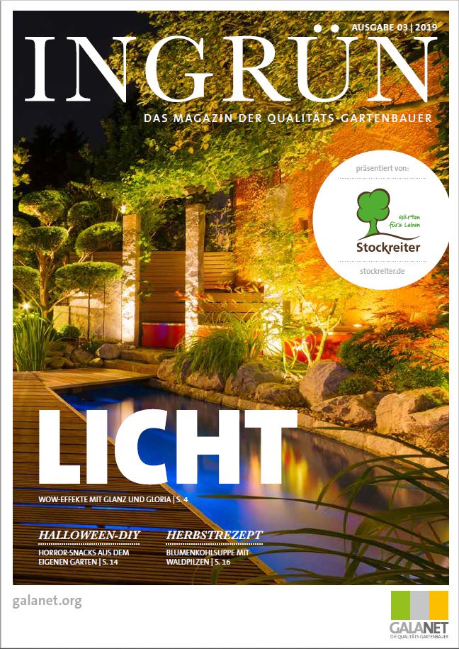 Cover der Gartenbauzeitschrift "INGRÜN" mit beleuchtetem Pool, umgeben von Pflanzen und Steinen.
