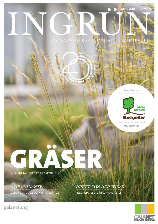 Zeitschrift "INGRÜN" 03/2020: Gräser in Gold- und Grüntönen, Titel "GRÄSER", 20-jähriges Jubiläum.