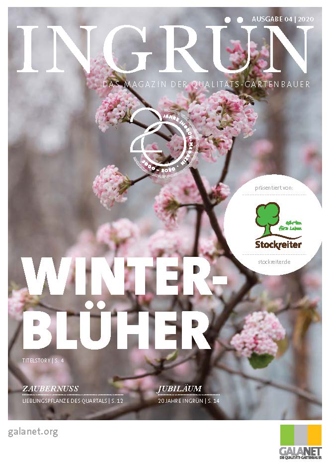 Cover der Zeitschrift INGRÜN 04/2020 mit rosa blühenden Zweigen und dem Titel "WINTERBLÜHER".