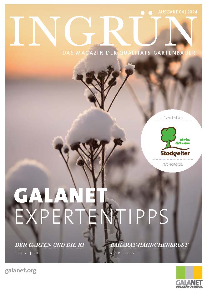 Zeitschriftencover "INGRÜN" 04/2024: Schneebedeckte Pflanzenstängel vor pastellfarbenem Hintergrund.