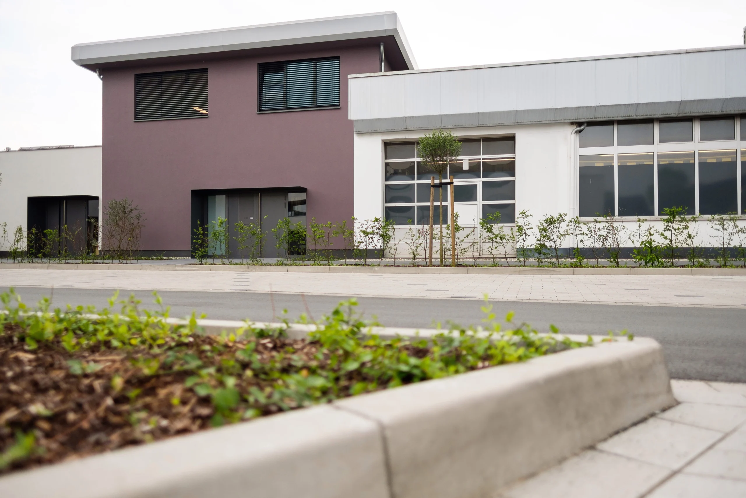 Modernes Gebäude mit zweifarbiger Fassade, großen Fenstern, Gehweg und jungen Bäumen im Vordergrund.