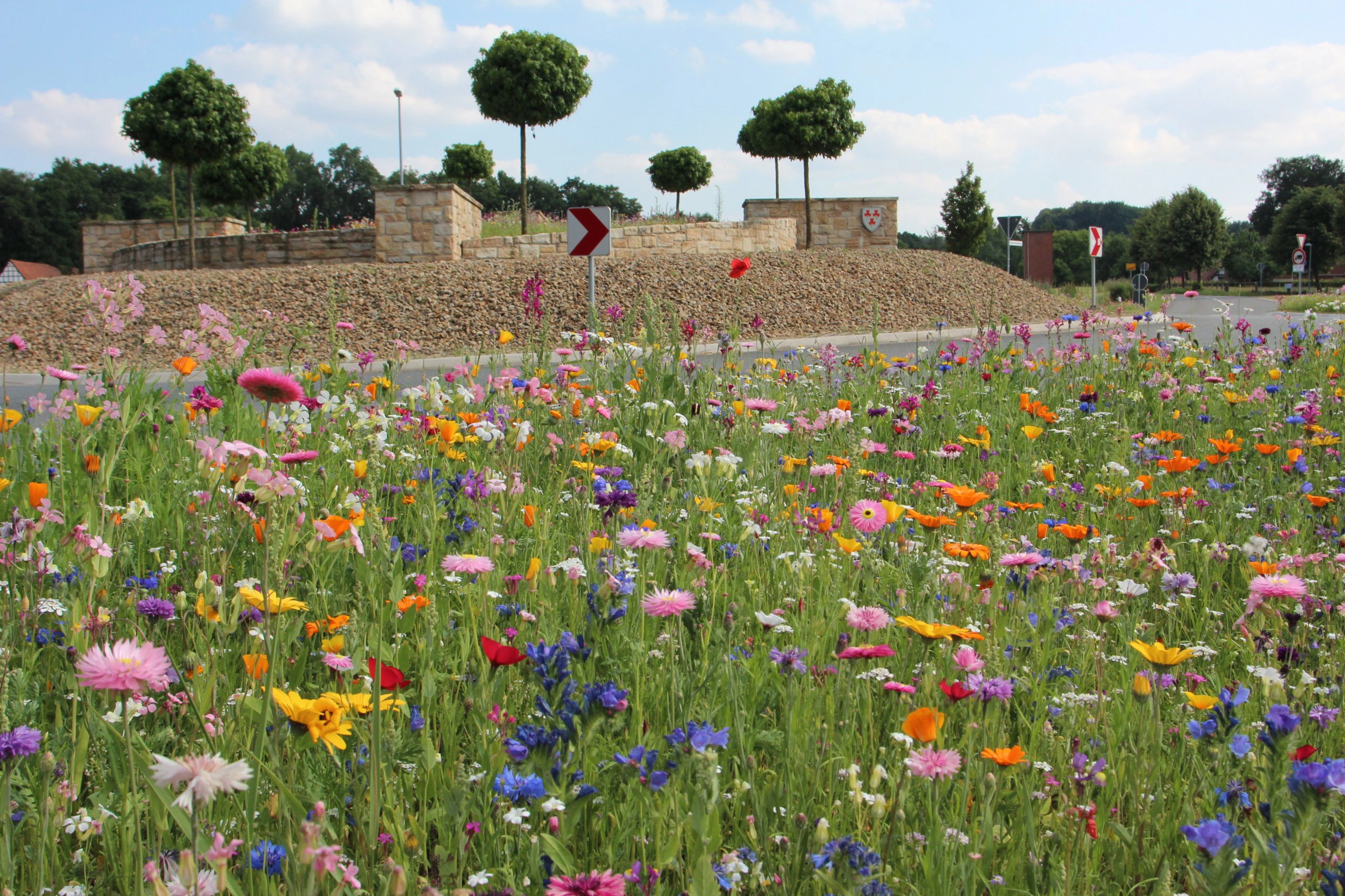 Bunte Blumenwiese vor einem Kreisverkehr mit Steinmauer und kugelförmigen Bäumen an einem sonnigen Tag.