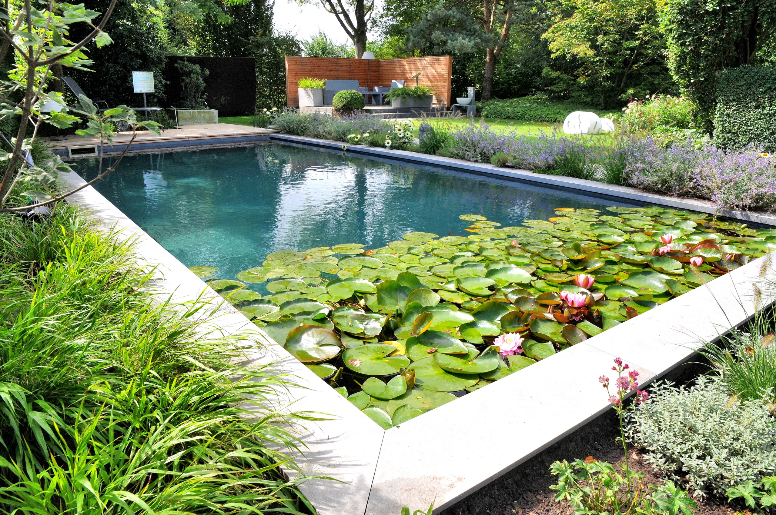 Ein gepflegter Garten mit Teich, Seerosen und moderner Terrasse; eine friedliche, natürliche Oase.