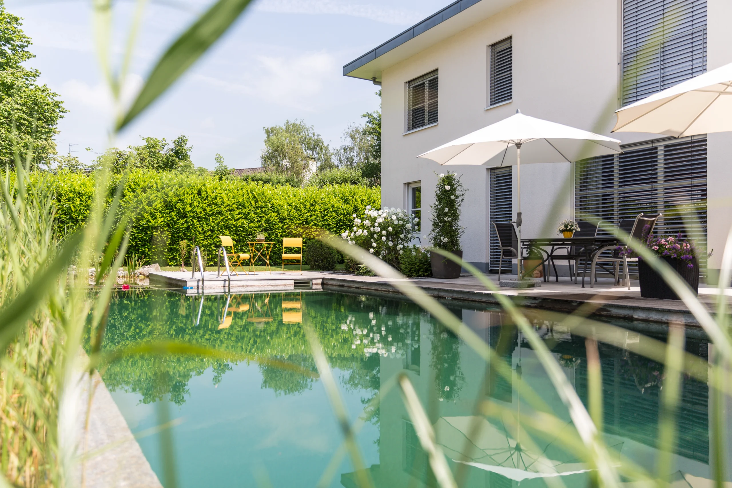 Moderner Garten mit Schwimmteich, Terrasse mit gelben Möbeln und einem weißen, zweistöckigen Haus.