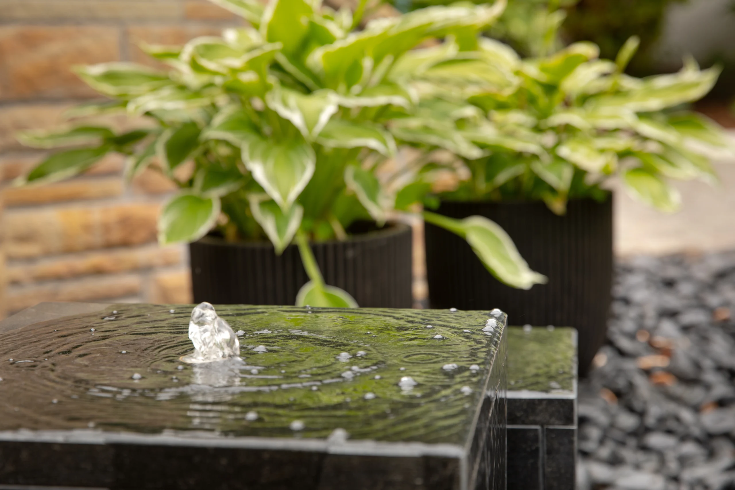 Ein kleiner Steinbrunnen mit sprudelndem Wasser, umgeben von grünen Pflanzen in einem ruhigen Garten.