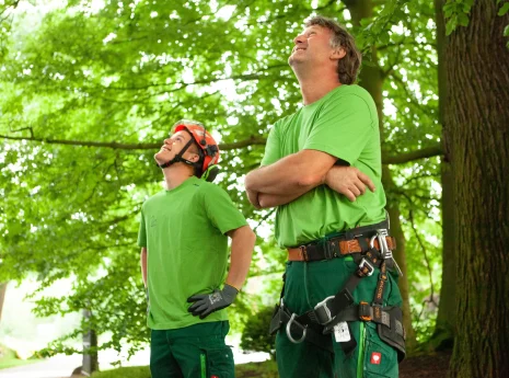 Zwei Personen im Wald, in grüner Arbeitskleidung, blicken nach oben; eine trägt einen orangefarbenen Helm.