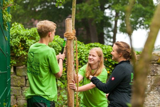 Drei Personen arbeiten kooperativ daran, einen Baum mit Seilen an einem Holzpfosten zu befestigen.