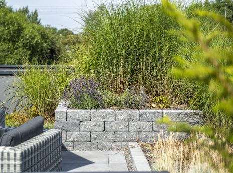 Moderne Gartenszene mit grauer Steinmauer, üppigem Grün, lila Blumen und geflochtenen Gartenmöbeln.