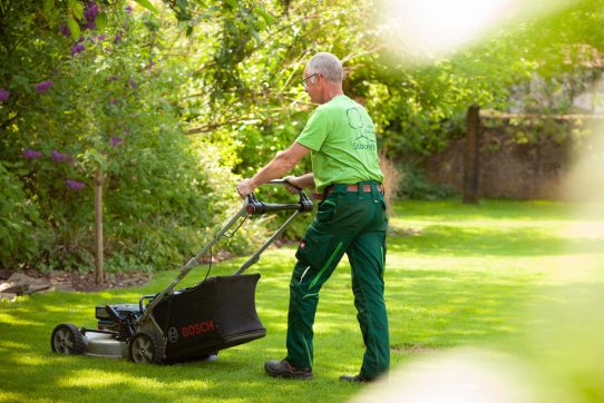 Eine Person in grüner Kleidung mäht mit einem Bosch-Rasenmäher einen gepflegten, grünen Rasen.