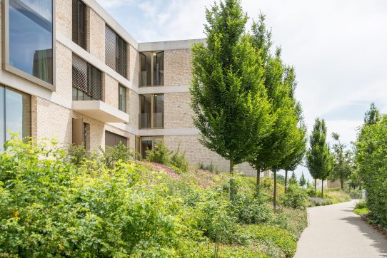 Moderne Gebäudefassade mit großen Fenstern, umgeben von einem gepflegten Garten und geschwungenem Gehweg.