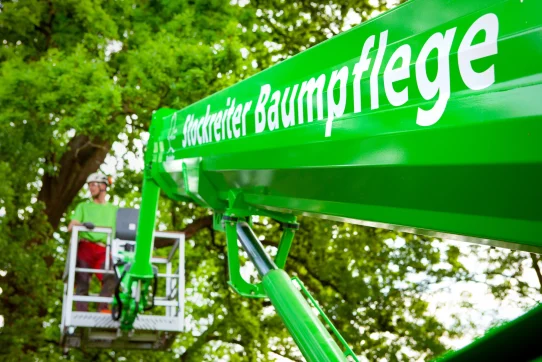 Ein Arbeiter in Sicherheitskleidung pflegt mit einer Hebebühne einen Baum an einem sonnigen Tag.