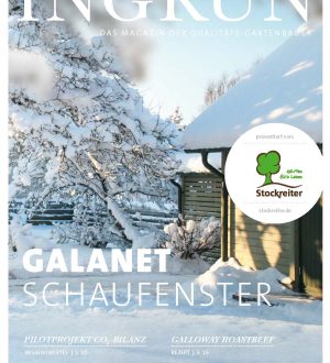Verschneiter Garten mit Bäumen und Hausdach, ruhige Winterlandschaft, Cover der Zeitschrift "INGRÜN".