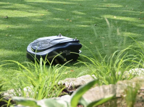 Ein moderner Rasenroboter pflegt einen grünen, gut geschnittenen Rasen in einem sonnigen Garten.