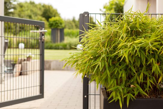 Ein offenes schwarzes Metalltor führt zu einem gepflegten Garten mit üppigem Grün und hellem Pflaster.