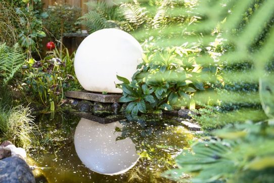 Ein ruhiger Garten mit einem kleinen Teich, umgeben von üppigem Grün und einer weißen Kugelskulptur.