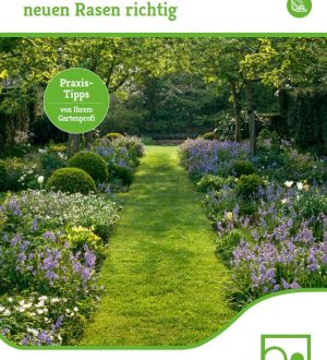 Gepflegter Garten mit grünem Rasen, bunten Blumenbeeten und schattenspendenden Bäumen im Hintergrund.